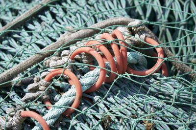 Reb fra fiskeredskaber kan ende som plastikaffald langs kysterne og mikroplast i havmiljøet. Men rebene kan også blive et problem for havfugle, der vikler sig ind i det, fremgår det af en undersøgelse. (Arkivfoto).