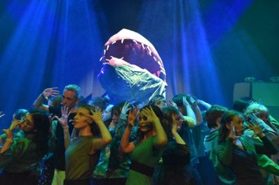 En mystisk plante, der er enormt plejekrævende og kræver special pasning, er omdrejningspunktet i årets musical på Ikast-Brande Gymnasium.