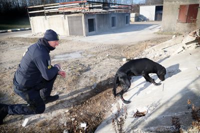 Den sorte labrador Anton er på arbejde som brandhund. Eller - her er det kun en øvelse, hvor brandhundefører Claus Worsøe har gemt en duftprøve på en brændbar væske i nogle murbrokker. Den toethalvt år gamle hund er siden lille hvalp blevet trænet i netop det: Og han er en del af en meget lille og eksklusiv klub: Der findes kun to brandhundeførere i den danske politistyrke - den ene af dem er Claus Worsøe, der bor i Lind og arbejder i hele kongeriget med sin firbenede makker.