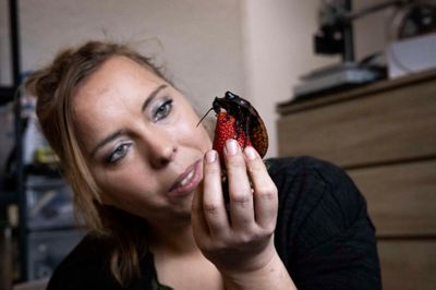 33-årige Sabrina Sørensen med sin kæledyrskakerlak Bille.