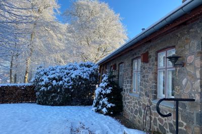 På musset i Thorning markeres fastelavn.