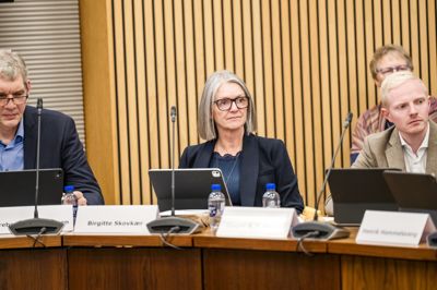 Birgitte Skovkær (V) var onsdag inhabil i spørgsmålet om ny SFO klub på Videbæk Skole, da hun er formand for bestyrelsen bag Videbæk Idræts- og Fritidscenter, der var en del af den oprindelige plan.