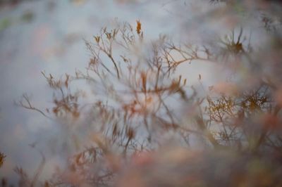 Det bliver en meget grå start på tirsdagen.