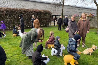 På Vestervang bor Anja og Preben Madsen sammen med deres tre børn, som alle er en naturlig del af livet på gården. Familien byder indenfor til Økodag på søndag. Billedet er fra Økodag på Vestervang 2024.