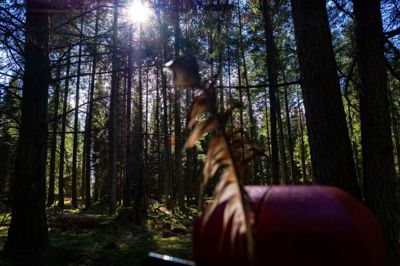Solen skulle være mulig at finde på himlen i løbet af dagen. Foto: Martin Ballund