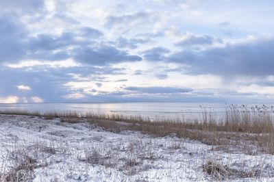 Den Lokale Trepart for Ringkøbing Fjord skal sikre den økologiske tilstand i fjorden. Det forventes, at Ringkøbing-Skjern Kommune samlet set skal bidrage med cirka 10 procent af kommunens areal til den grønne trepart - svarende til 15.000 hektar.