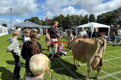 Kokassebingo er et populært og tilbagevendende indslag til Kjeldbjerg Byfest.