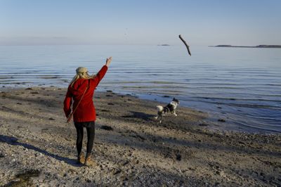 Weekenden starter flot, og der er forår i luften, men det er ikke helt tid til at smide jakken endnu, oplyser meteorolog ved Danmarks Meteorologiske Institut (DMI) Anja Bodholdt. (Arkivfoto).