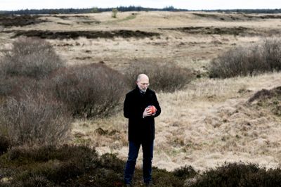 Ifølge forsker og forfatter Peter Thybo er der markante positive effekter ved at opholde sig i naturen - det kan styrke helingen af sygdomme, fordi vi restituerer bedre, og det kan forebygge mentale lidelser som stress og depression, da naturen giver ro i hjernen.