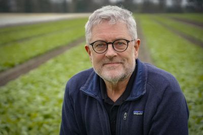 Axel Månsson mistænker svaner for at have smittet kyllingerne på hans økologiske landbrug med fugleinfluenza.