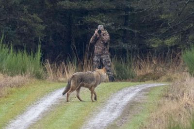 Nogle vil nok mene, at denne ulv er lige lovlig tæt på .... Men ikke Eskil J. Nielsen-Ferreira, som er tidligere fotograf i Flyvevåbnet og nu ulveobservatør for Naturhistorisk Museum i Aarhus.