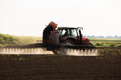 Salget af pesticider er steget. Det tolkes af Danmarks Naturfredningsforening som et udtryk for øget forbrug – og dermed større samlet belastning af natur og miljø.