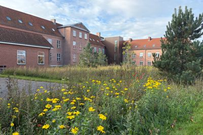 Det tidligere Ikast Vestre Skole - nu Administration Vest skal have et nyt navn, som skal signalere, at her kommer fremtidens rådhus for hele kommunen til at være. Byrådssalen og dermed møderne her bliver i det nuværende rådhus, men en stor del af personalet er allerede flyttet, og inden længe er det borgmesteren og kommunaldirektørens tur.