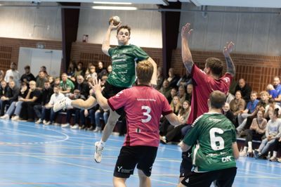 De grønne fra Mønsted/Sparkær Håndbold har sikret sig endnu en sæson i 3. division.