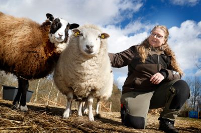- Der er altid noget at give sig til på »Bondegården«, fortæller Heidi Mahler, som her klapper en af gårdens nysgerrige beboere.