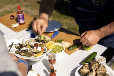 Der bliver mulighed for at smage veltilberedte skaldyr.