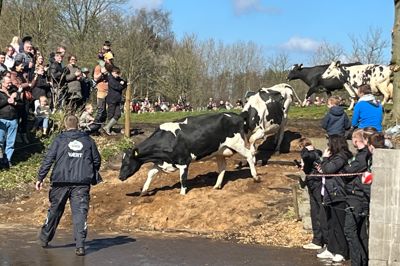Havredal Praktiske Uddannelser bød igen på økodag. Over 5000 mennesker var med.