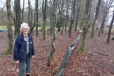 Ruth Videbæk ved hegnet gennem det lille skovstykke ved hendes ejendom nær Haunstrup. Hegnet skal beskytte padder og andre smådyr fra at kravle op på området, hvor den nye 2+1-vej skal bygges.