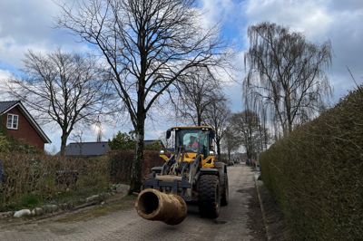 Arbejdet med at kloakseparere i Gjellerup betyder, at ni lindetræer og to bøgetræer skal fældes på den nordlige del af Gjellerupbakken. Det har fået beboere på barrikaderne - også fordi den nuværende stenbelægning skal erstattes med asfalt.