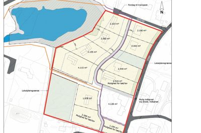 Denne tegning fra lokalplan 469 viser, hvordan fordelingen af grunde kan blive i det nye boligområde i Gludsted. Det bliver en blanding af parcelhuse og rækkehuse (tæt-lav).