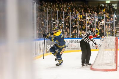 Patrick Bjorkstrand har her bragt Blue Fox foran 1-0 i finale tre tirsdag aften. Dommeren peger ned i målet og bekræfter, at pucken har krydset linjen. Herlev fik siden vendt kampen på hovedet, inden Blåræven vandt 4-3 og nu kun er én sejr fra guldet.