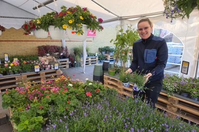 Åse Nørgaard er salgsleder i Superbrugsen i Videbæk. Hun har indført plantemarked i Superbrugsen. Interessen har hun med fra sin tin i Kvickly i Ringkøbing, og det har vist sig, at der også er marked for salg af stauder og sommerblomster i Videbæk. I år har man udvidet med et telt, så man beskytter planterne bedre mod sol, vind og regn.