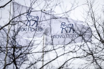 Novo Nordisk har været med til at sende beskæftigelsen i Danmark tilbage.
