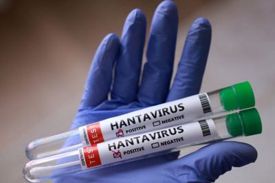 Hantavirus kan være dødeligt. Foreløbigt er der kendskab til tre dødsfald blandt de smittede og muligt smittede fra krydstogtskibet MV »Hondius«.