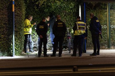 En 68-årig kvinde blev sidste år påkørt af en UTV, da hun cyklede nær et busstoppested i Store Magleby på Amager 29. april 2025. Københavns Byret har over to dage behandlet sagen mod føreren af UTV'en, der er et terrængående køretøj.