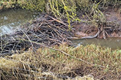 Her er blandt andet en af de dæmninger, som en læser har set være ødelagt.