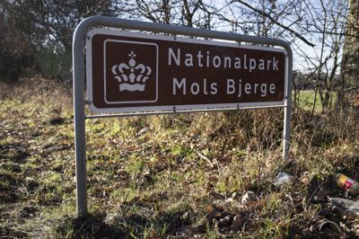 En tidligere skovrider i Naturstyrelsens afdeling Kronjylland var ikke ansvarlig for problemer med dyrevelfærden i Mols Bjerge, har Vestre Landsret fastslået.