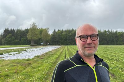 Johnny Saaugaard Jensen foran jordbærmarken med selvpluk. Til venstre er der plastik over det stykke, hvor der skal være majs.