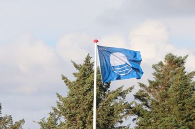 Det Blå Flag hejses ved Ålbæk Strand den 16. juni.