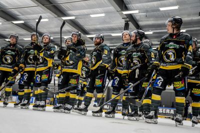 Herlev Eagles fik sølv efter nederlaget til Herning Blue Fox i DM-finalen. I næste sæson får holdet ny cheftræner.