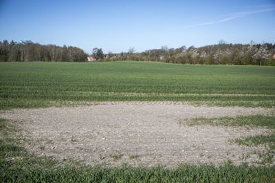 Jorden er meget tør rundtomkring i Danmark efter et forår med kun lidt nedbør. Særligt i den nordlige og østlige del af Danmark er det meget tørt. I 2020 var disse marker mellem Roskilde og Ringsted på Sjælland plaget af tørke.
