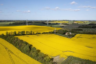 Flere hundredtusind hektar skal i fremtiden omdannes til skov gennem den grønne trepart.
