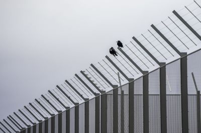 En dansk kvinde er i Norge blevet idømt to år og seks måneders fængsel for bedrageri og frihedsberøvelse mod en ældre norsk kvinde. Hun har anket dommen.