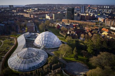 Der oprettes en pop up-kirke i Botanisk Have i Aarhus, hvor der vil være mulighed for at blive viet uden forudgående aftale.