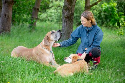 Når mennesker søger hjælp hos en ekspert i hundes adfærd, kan det være alt fra en enkelt time til flere timer med udredende snak omkring at øge hundens trivsel, fortæller hundepsykolog Christine Leicht Løwe. Men det kan også være at lære en metode til at ændre hundens adfærd eller en afklarende snak for at vurdere »hvad der skal til« - og om ejer og hund i virkeligheden er bedre stillet ved at omplacere hunden til et hjem, der kan være et bedre match.