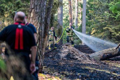 Beredskabet arbejder lørdag aften ved Tisvilde Hegn, hvor der er opstået en naturbrand.