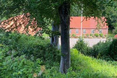 Da pastor Christian Michael Rottbøll Friis i 1826 beboede Daugbjerg Præstegård, hørte der ikke blot et landbrug til, men også tre kalkminer og en kalkovn.
