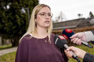 - Det er vores appetit ikke stor på, siger finansordfører og næstformand Stephanie Lose (V).