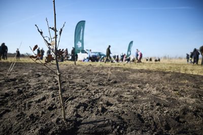 Alle 98 kommuner har vedtaget omlægningsplaner, der skal realiseres. De mindste kommuner får adgang til økonomisk støtte.