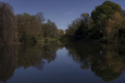 Ørstedsparken ligger centralt i København. Midt i parken ligger en større sø.