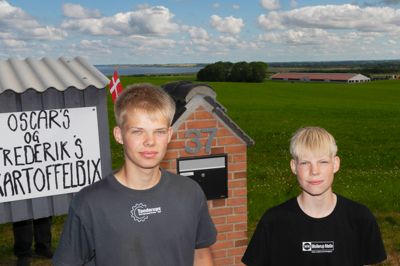 Brødrene Oscar (tv) og Frederik Højland Tanderup på henholdsvis 16 og 14 år driver på niende sæson deres egen vejbod med salg af nye kartofler.