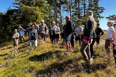 Cirka 50 naturmedarbejdere fra kommuner og partnere i den grønne trepart var på tur i Nationalpark Thy med det formål at dele viden og erfaringer i arbejdet med omlægningsprojekter.