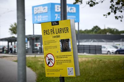 I det sydøstlige Odense er der sat skilte op, som advarer borgerne om egeprocessionsspinderen. Sundhedsministeren har bedt sundhedsmyndighederne om at bistå kommunen med rådgivning.