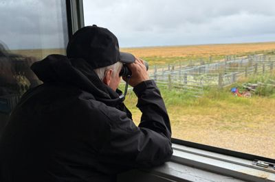 I 2023 blev der spottet 271 forskellige fuglearter i Ringkøbing-Skjern Kommune.