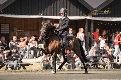 Svenske Filippa Montan er udtaget til landsholdet for islandske heste på sin nye hest, Lögg fra Slippen, og skal første gang repræsentere Danmark ved NM i august. Siden 2019 har hun drevet trænings- og avlscentret Kristiansminde på Ryvej, hvor hun også har en spa-afdeling til genoptræning af heste med skader.