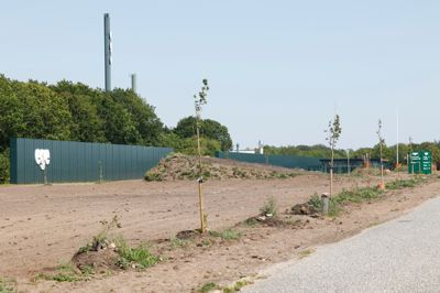 Ege Carpets A/S i Birk er træt af sagen om egeprocessionsspinderen, der kommer netop som virksomheden har plantet en allé af søjle-eg langs Industrivej Nord. Foreløbig er der ikke fundet larver - og træerne vil indtil videre blive gennemgået dagligt.